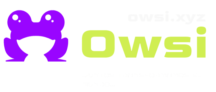 Owsi Logo