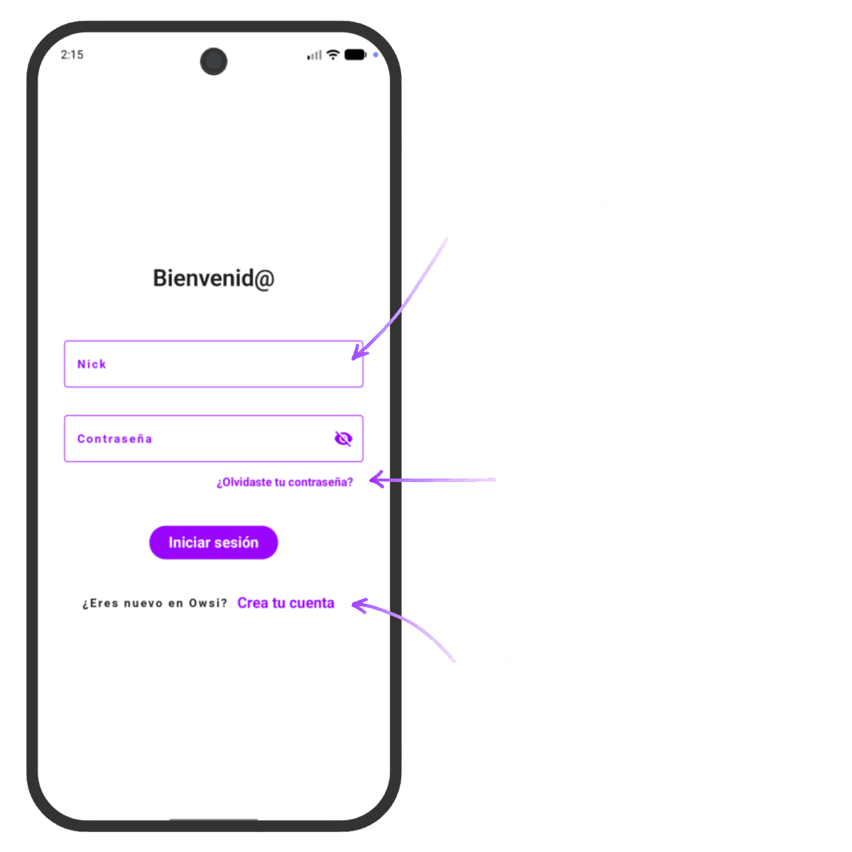 Pantalla para acceder a la cuenta en Owsi